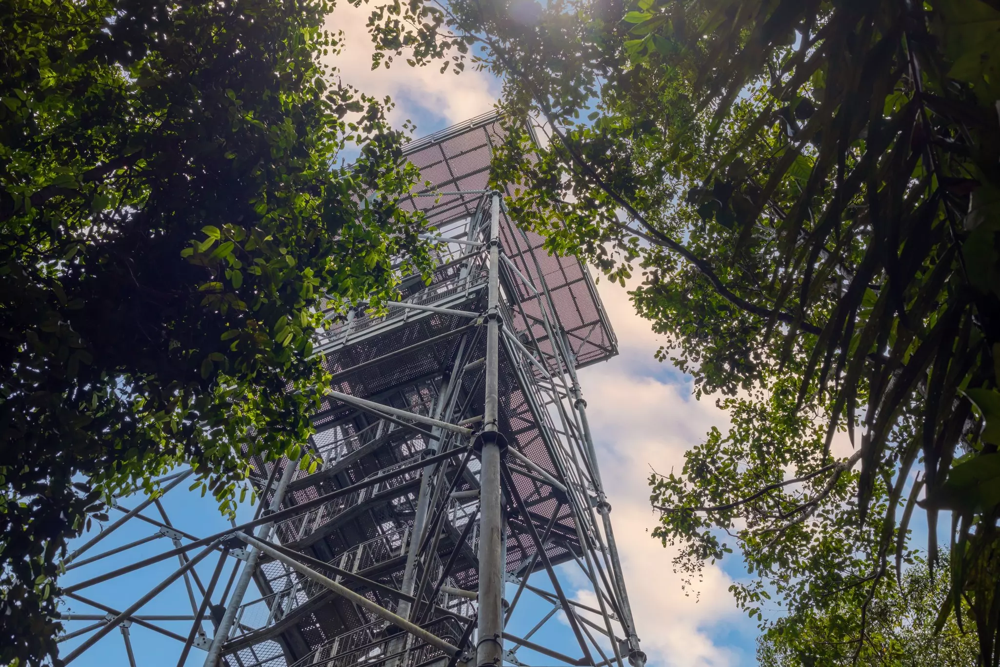 Manaus - Amazonas - Brasil - SEP 25 2025: Partial view of the Observation Tower of the Adolpho Ducke Forest Reserve (Jardim Botânico Adolpho Ducke), Manaus, Brazil