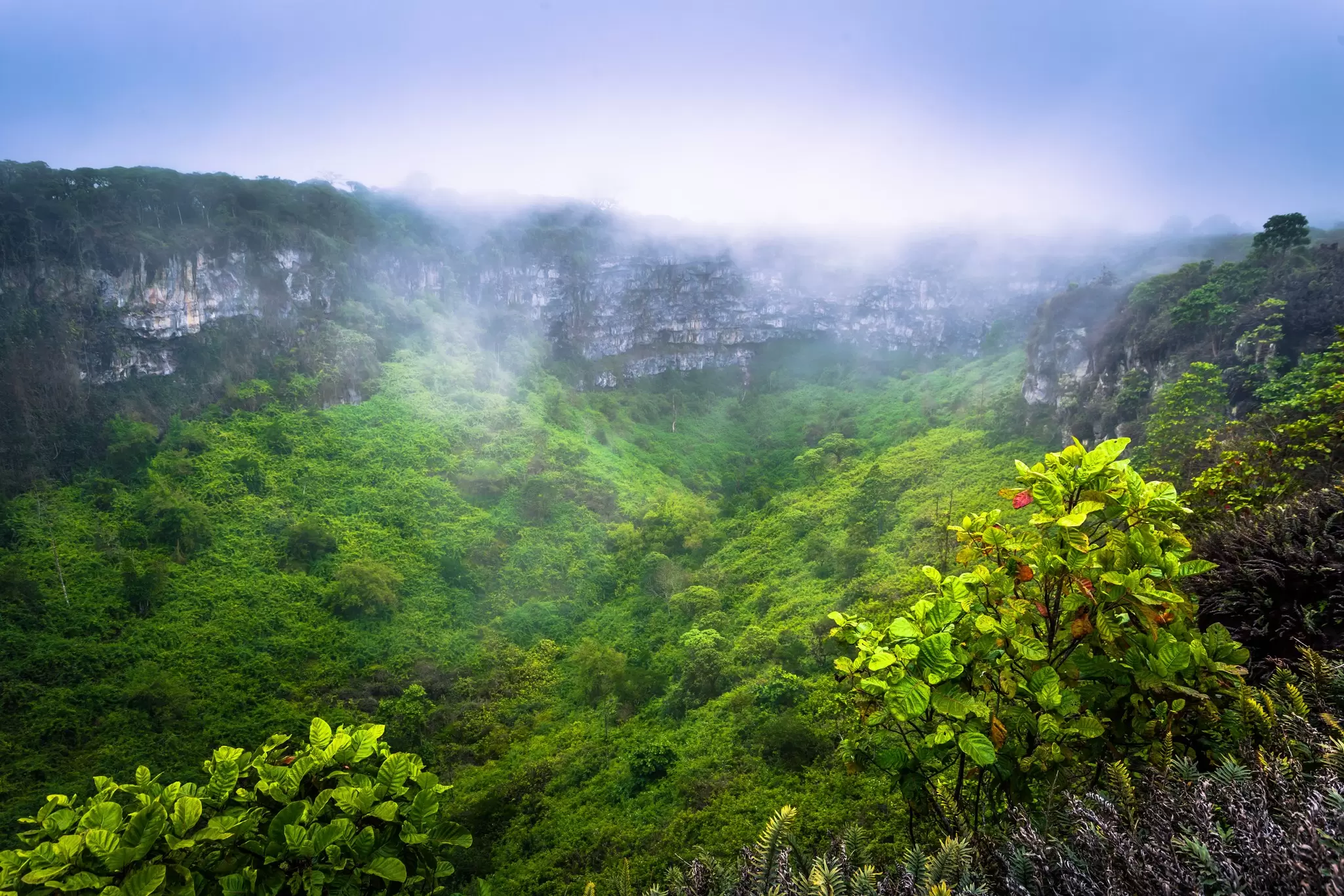 Volcanic crater on Santa Cruz Island covered in lush greenery. RPBaiao/Shutterstock