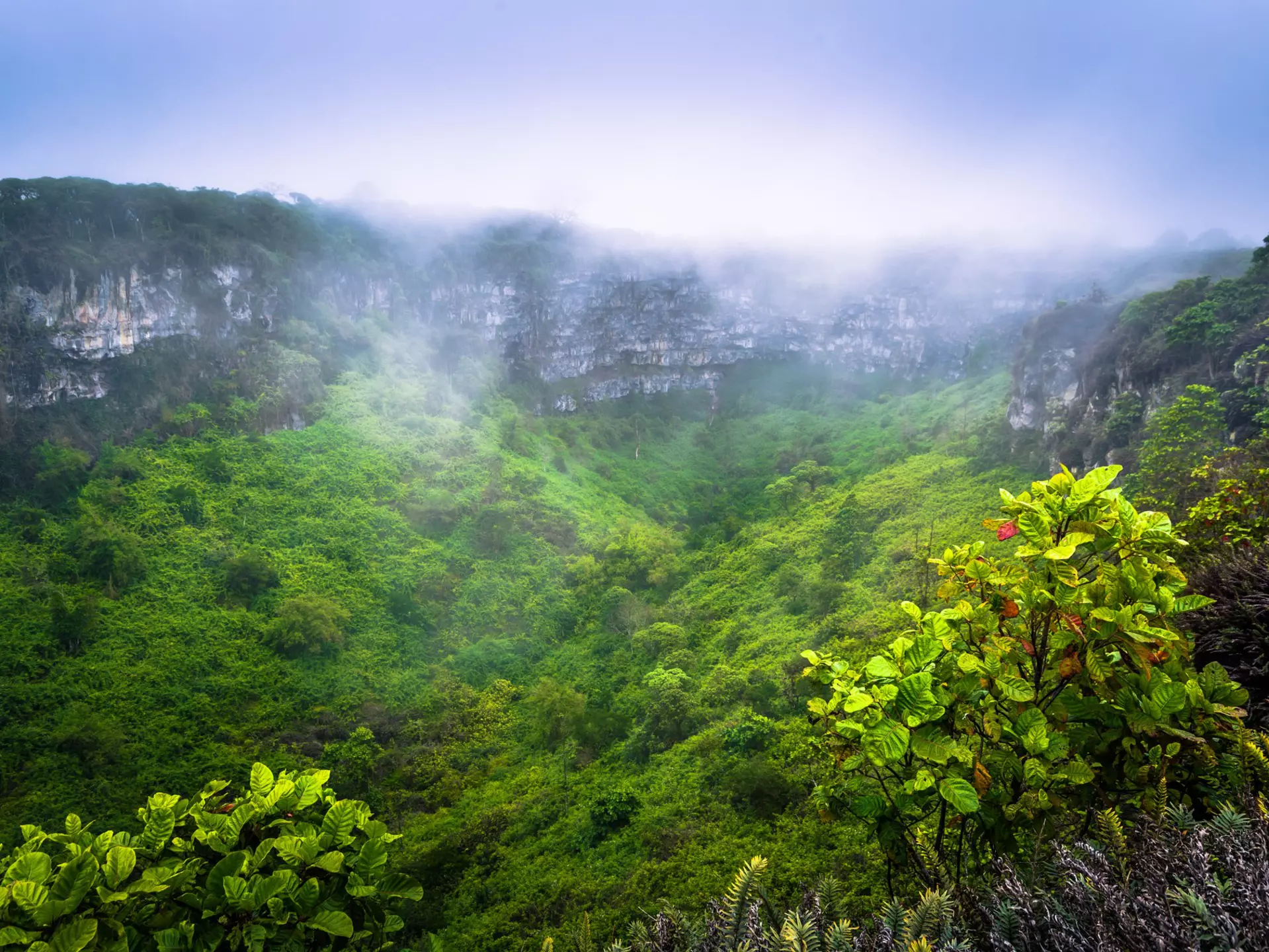 Volcanic crater on Santa Cruz Island covered in lush greenery. RPBaiao/Shutterstock