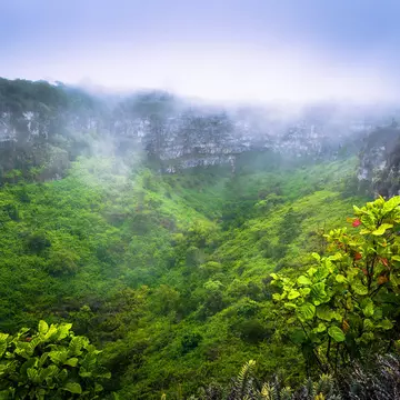 Volcanic crater on Santa Cruz Island covered in lush greenery. RPBaiao/Shutterstock