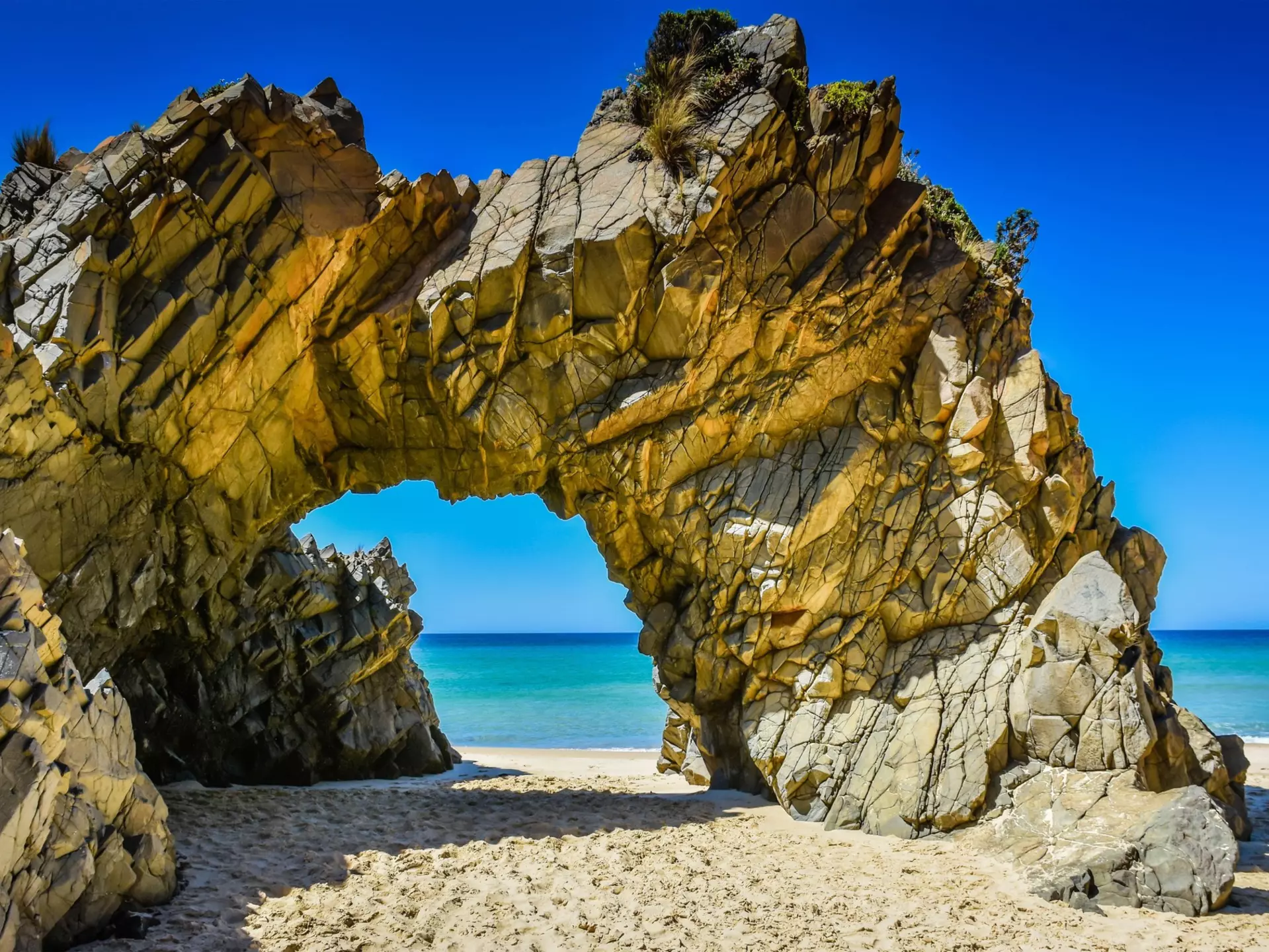 The Arch is a distinctive rock formation located at the west end of Mile Beach at the north end of The Neck that separates the north and south half of Bruny Island, Tasmania, Australia.