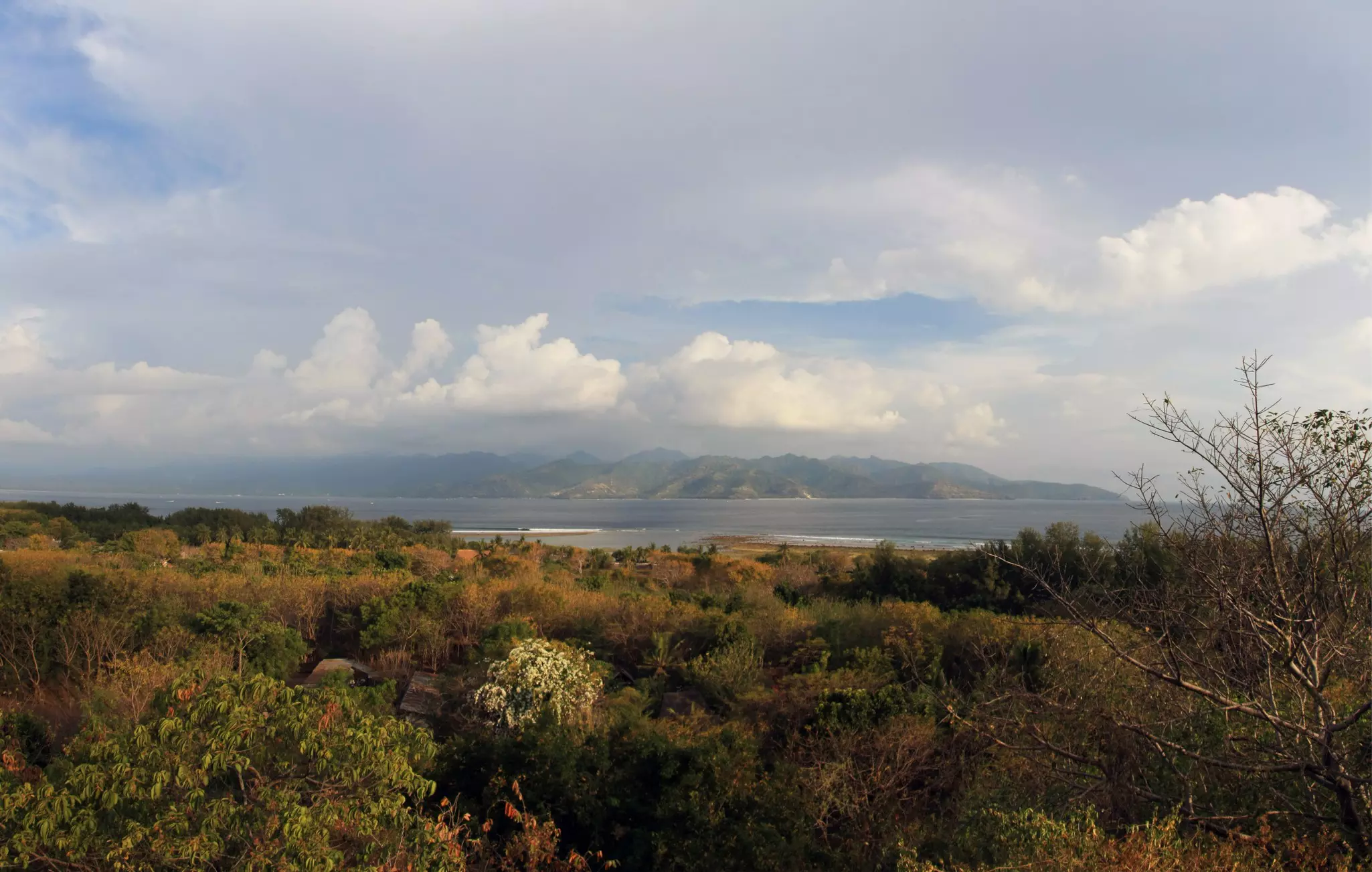 A hillside of trees and brush looking out toward the sea and a hilly island at early sunset, with clouds in the sky.