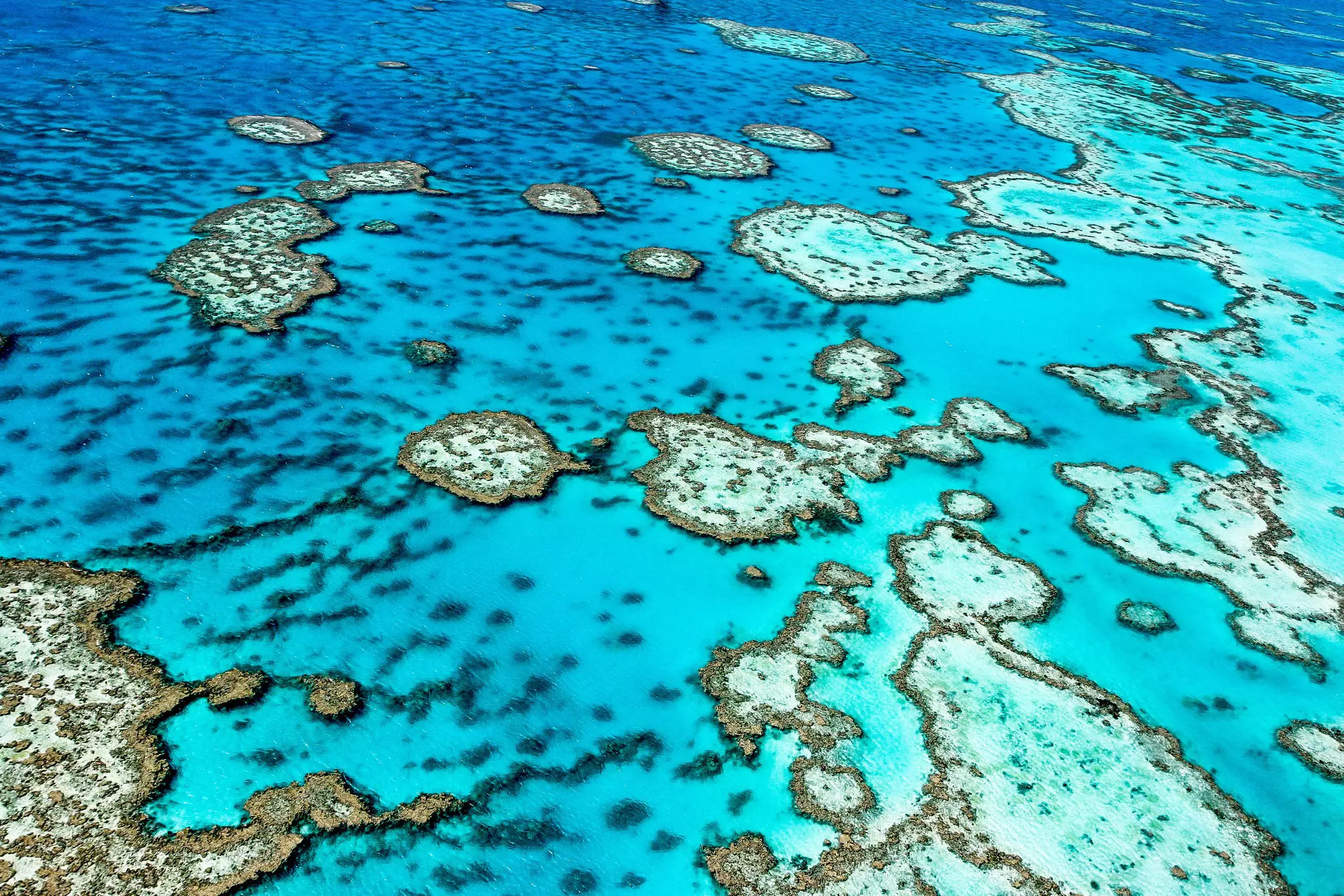 Find the right spot for you along the awesome expanse of Australia's Great Barrier Reef. Edward Haylan / Shutterstock