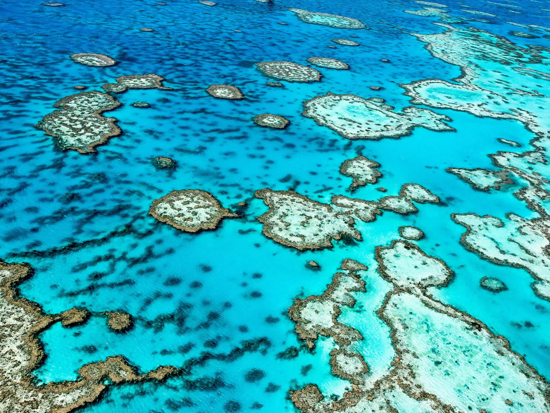 Find the right spot for you along the awesome expanse of Australia's Great Barrier Reef. Edward Haylan / Shutterstock
