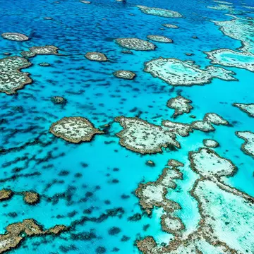 Find the right spot for you along the awesome expanse of Australia's Great Barrier Reef. Edward Haylan / Shutterstock