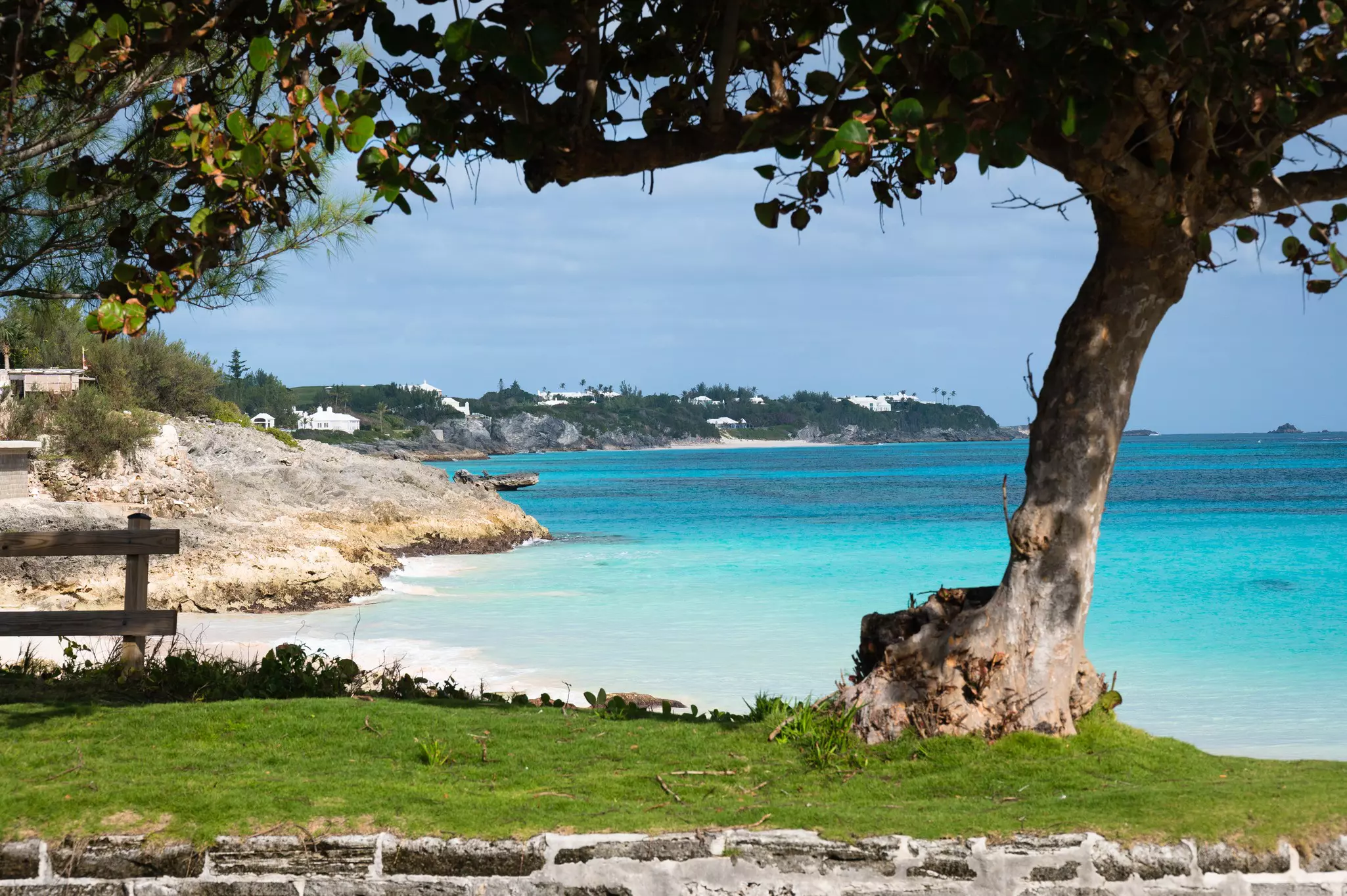 A bench and a gnarled tree trunk stand above a tropical beach. 