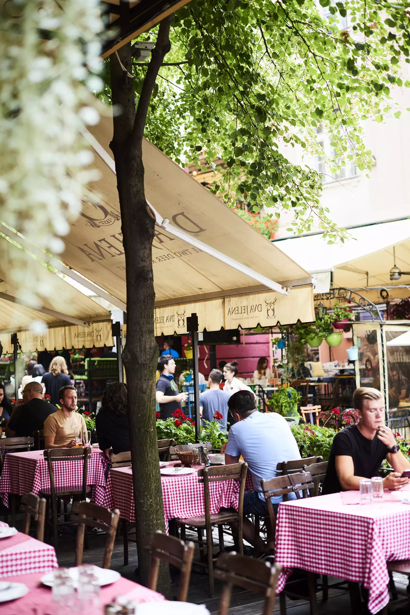 Diners sit beside the street at tables with checked red and white tablecloths.