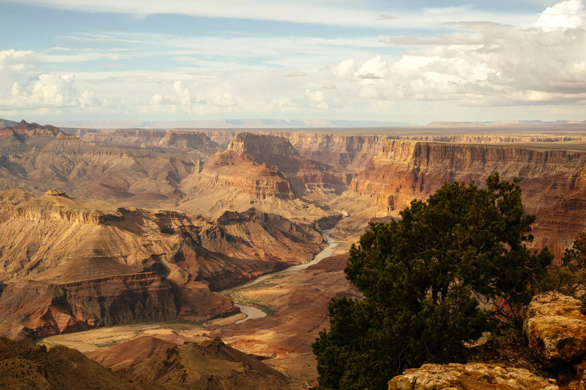 Expansive view of a reddish orange canyon with a narrow strip of water running through it