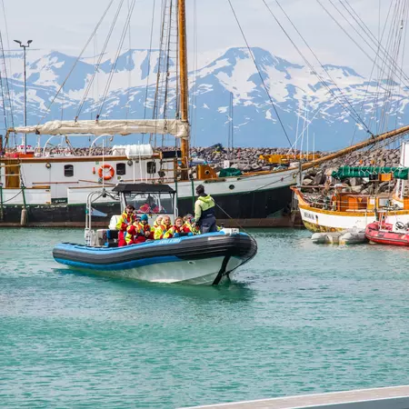 Whale-watching Safari RIB boat entering port of Husavik