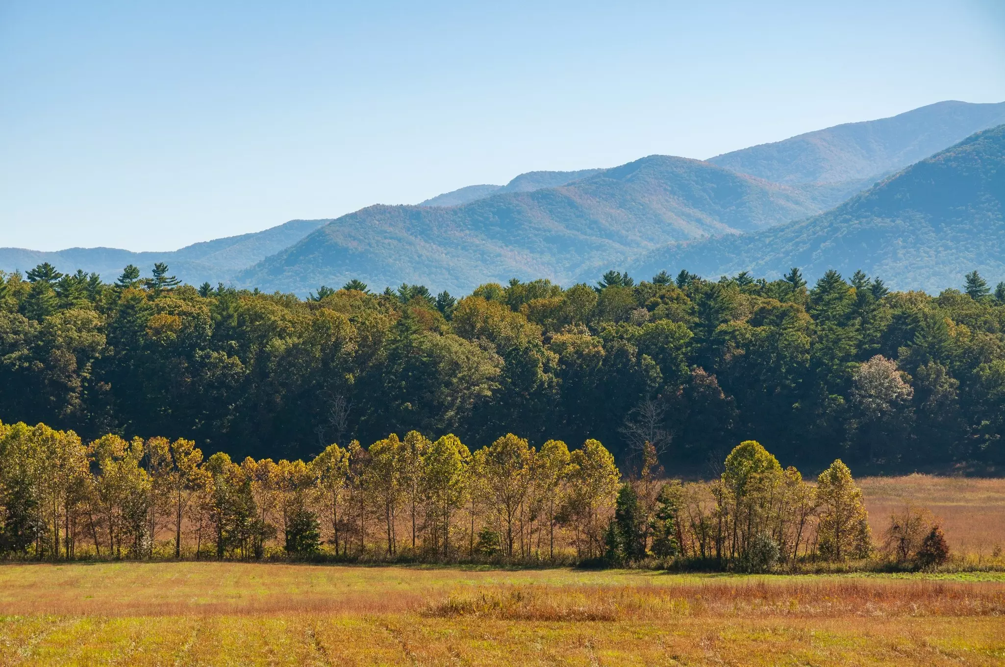 Great Smoky Mountains National Park. Zack Frank/Shutterstock