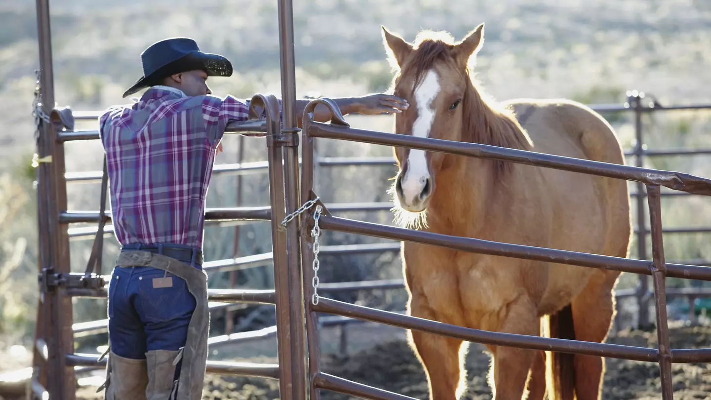 You don't need a big budget to make the most of Texas © PictureNet Corporation / Getty Images