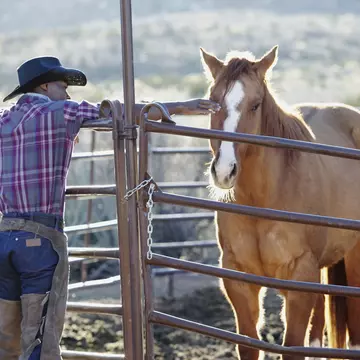 You don't need a big budget to make the most of Texas © PictureNet Corporation / Getty Images