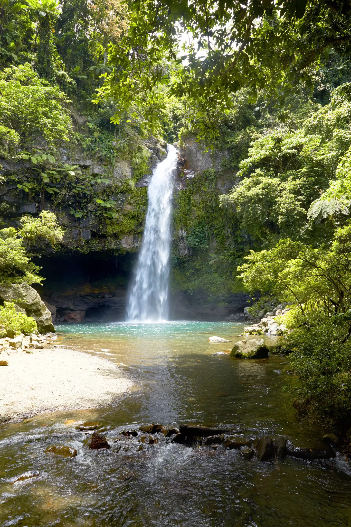 A tall waterfall plunging into a pool in jungle.