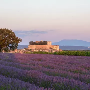 Château de Grignan, lavender fields and Mont Ventoux in the background