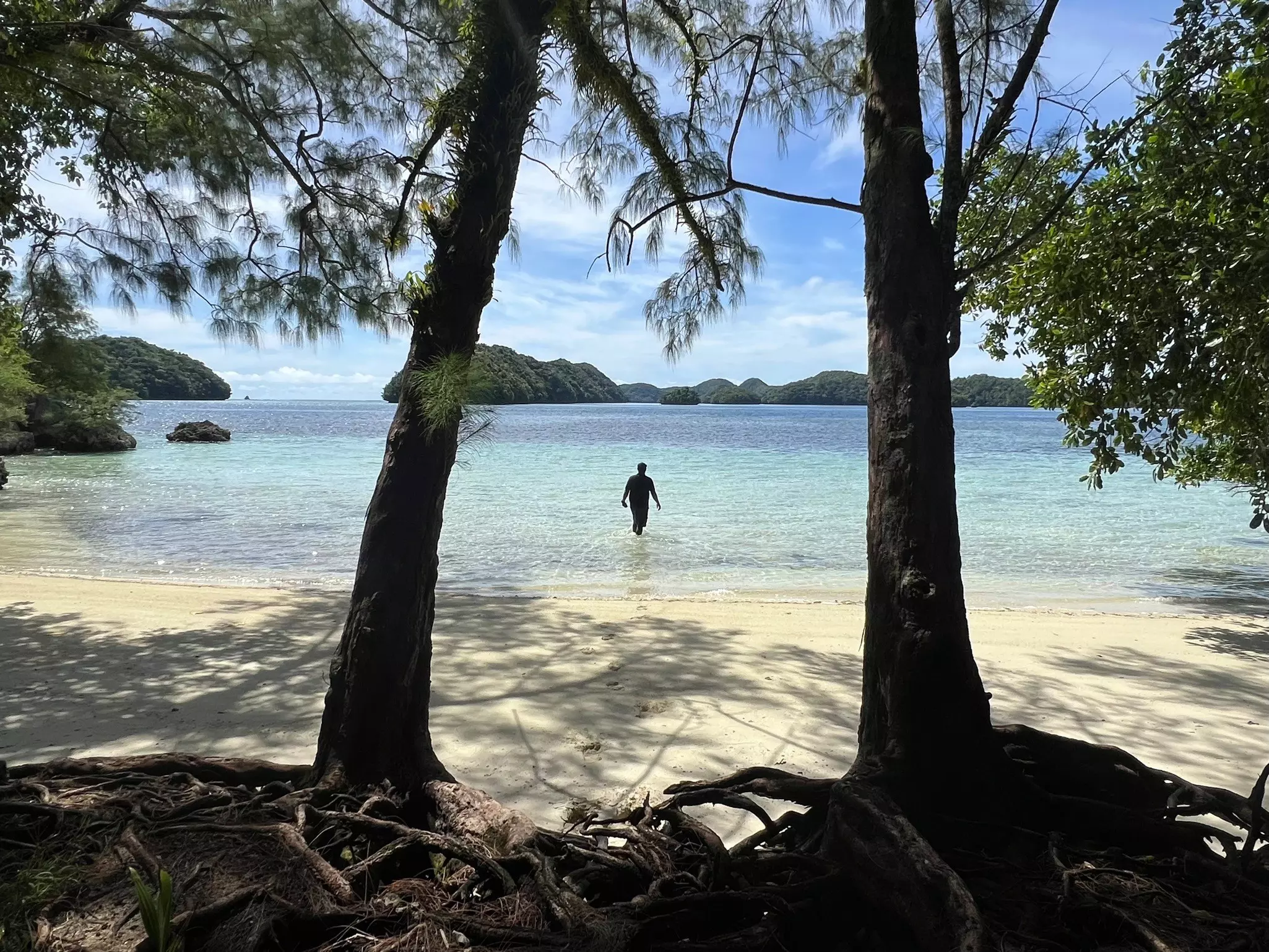 A single figure in silhouette makes their way from a pristine white-sand beach out into the ocean.
