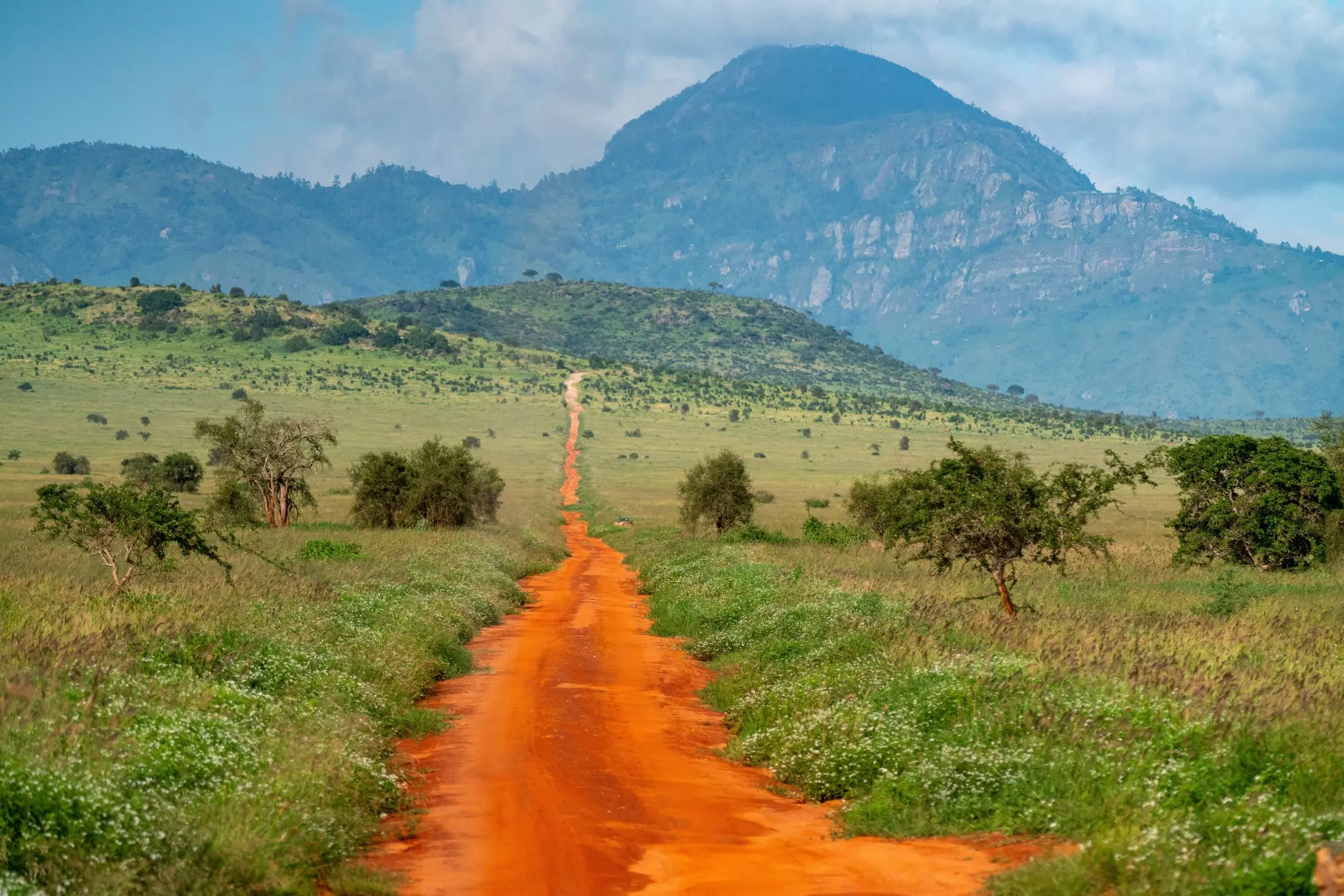 A red dirt road leading through Tsavo West National Park in Kenya.