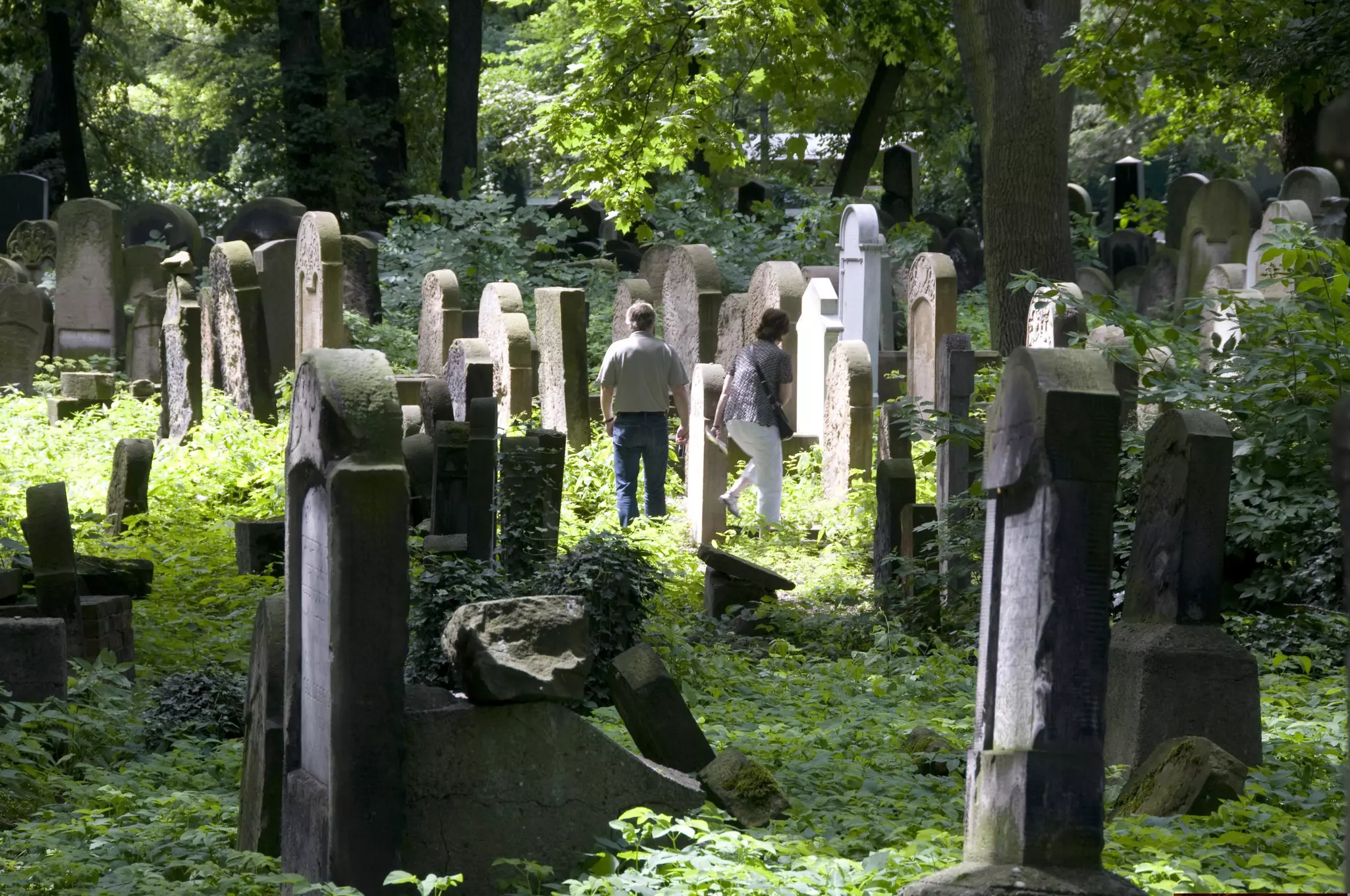 Two visitors standing by gravestones in an overgrown cemetery in Kraków.