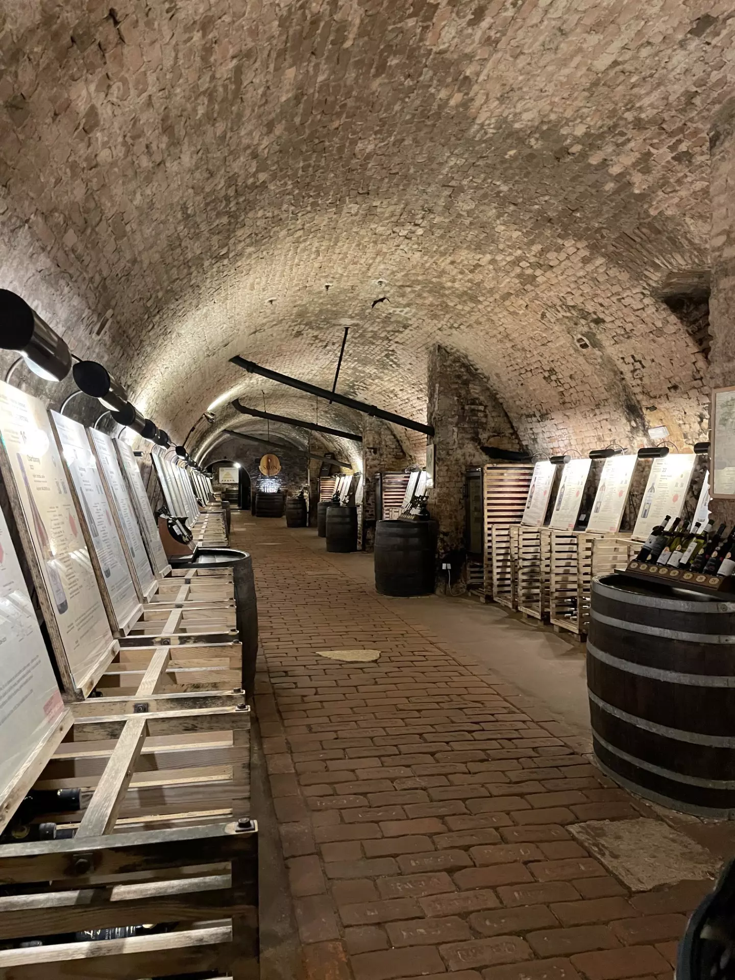 Interior of the Wine Salon of the Czech Republic in the cellar of Valtice Castle, Lednice-Valtice Cultural Landscape, Moravia, Czechia