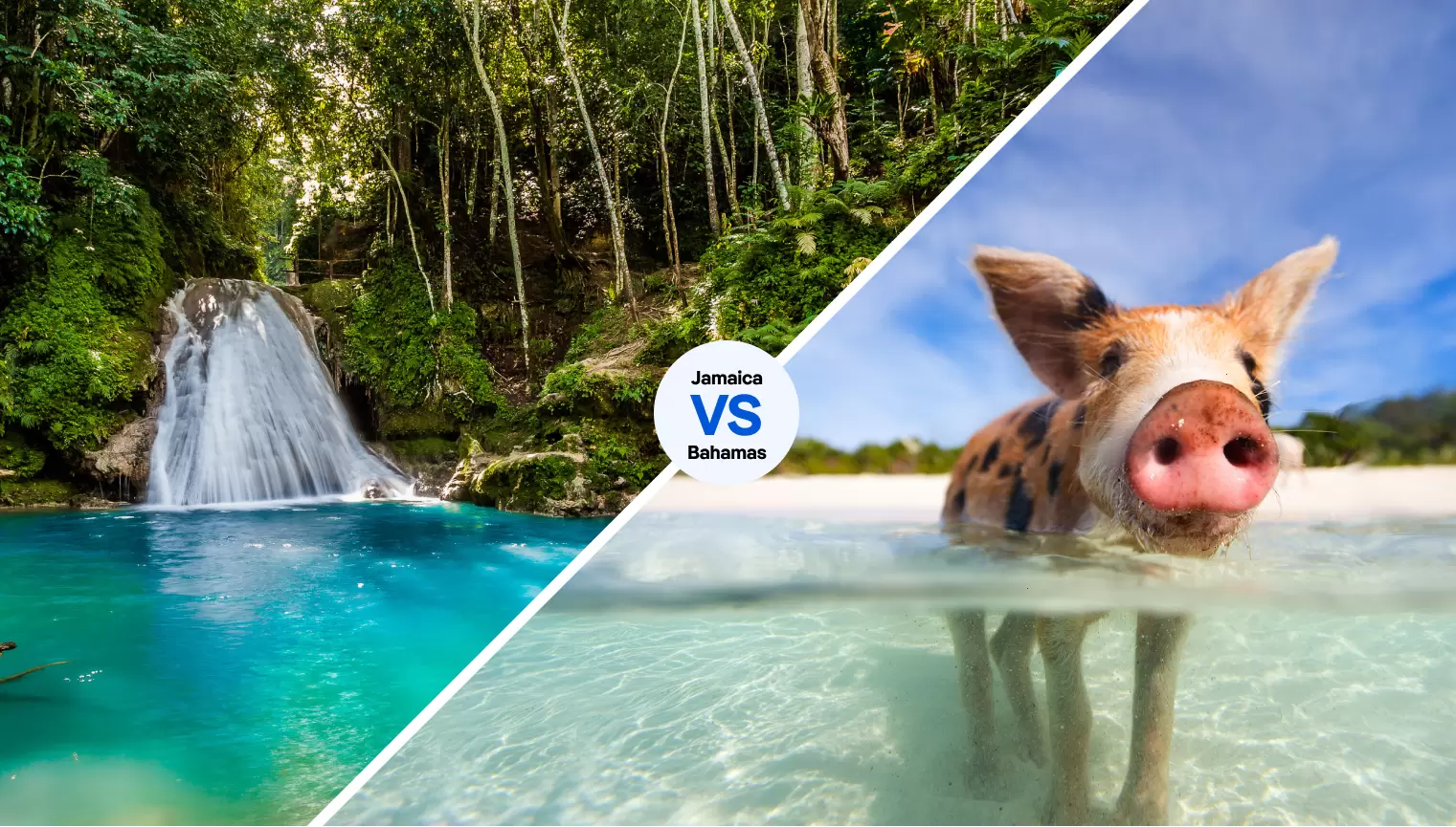 Jamaica’s stunning waterfalls, or the Bahamas’ irresistible swimming pigs? You decide © iStock