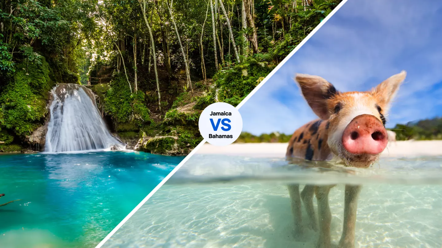 Jamaica’s stunning waterfalls, or the Bahamas’ irresistible swimming pigs? You decide © iStock