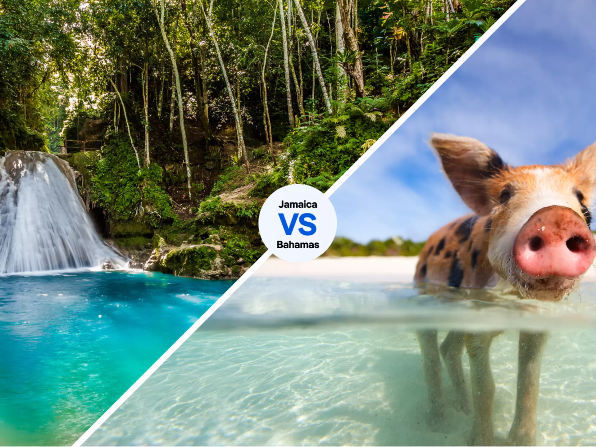 Jamaica’s stunning waterfalls, or the Bahamas’ irresistible swimming pigs? You decide © iStock