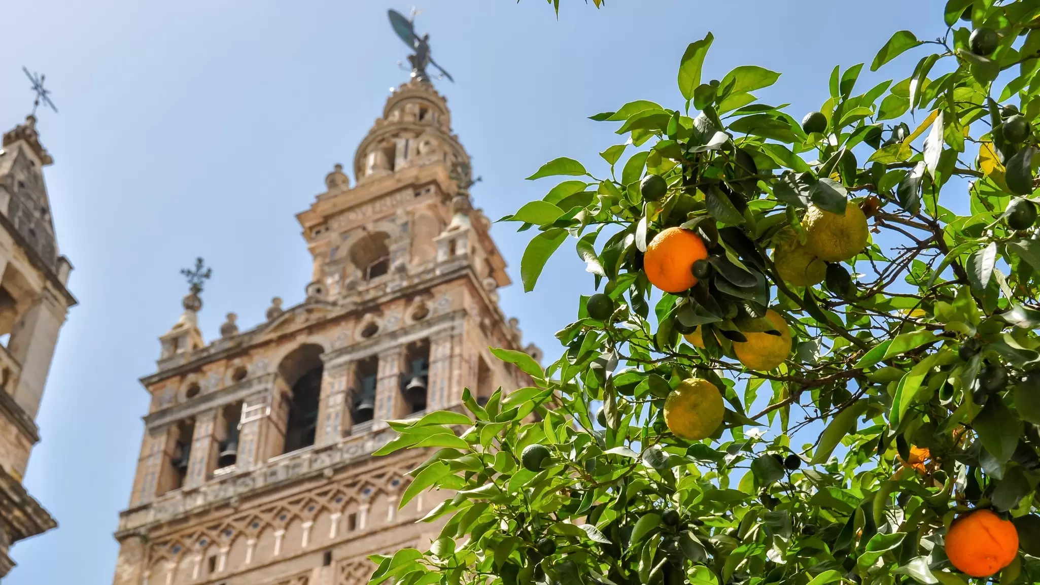 See the Catedral de Sevilla, and more, in Spain's Andalucía region. Vladislav Zolotov/Getty Images 