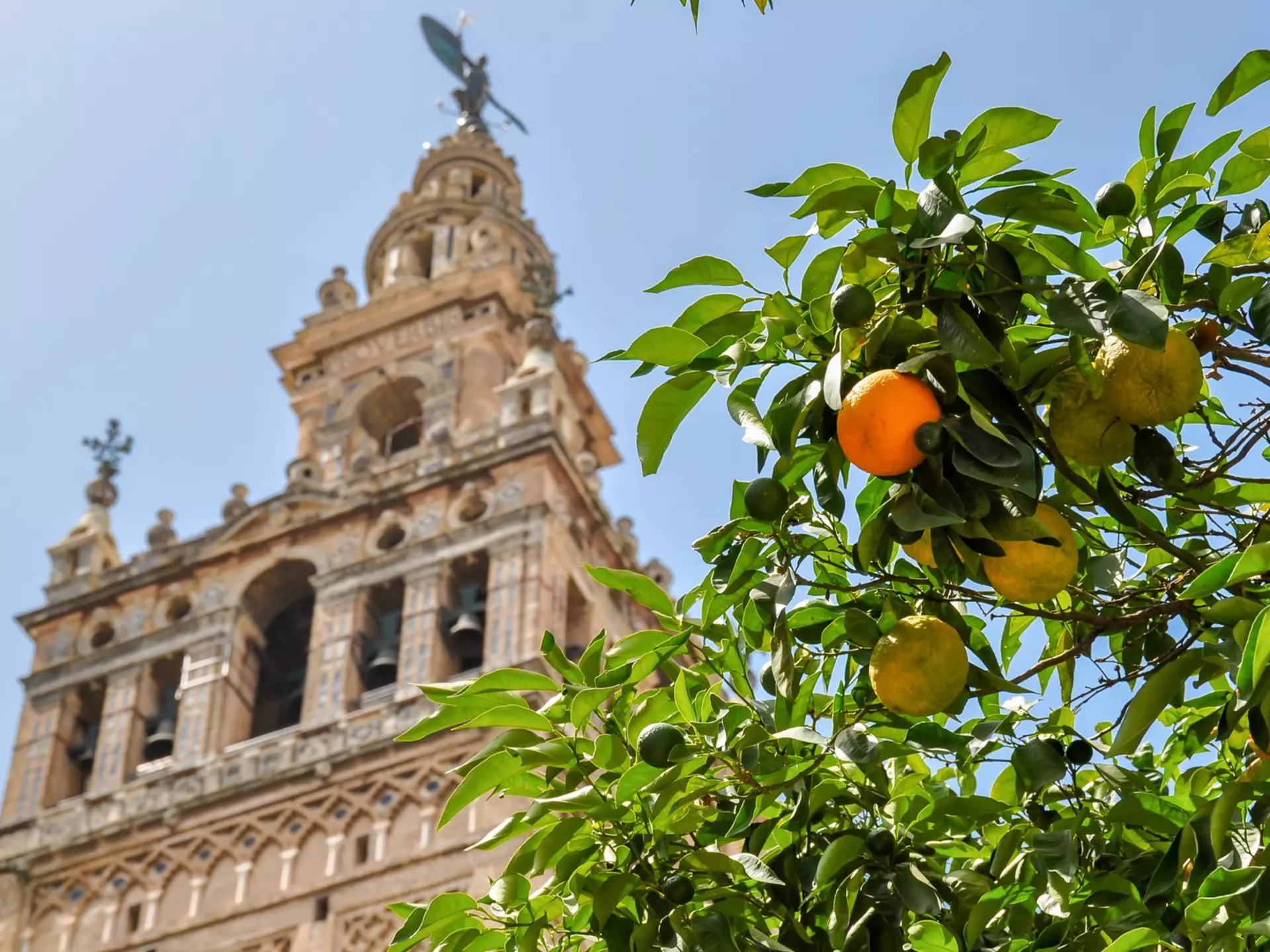 See the Catedral de Sevilla, and more, in Spain's Andalucía region. Vladislav Zolotov/Getty Images 