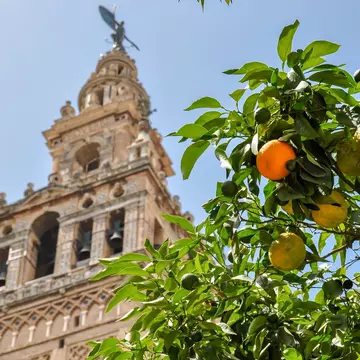 See the Catedral de Sevilla, and more, in Spain's Andalucía region. Vladislav Zolotov/Getty Images 