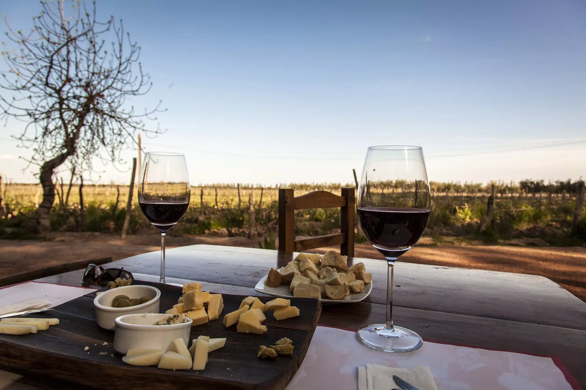 Mendoza is a place to relax and wander from vineyard to vineyard to learn about local winemaking  © Lumi Images / Frank Sippach / Getty