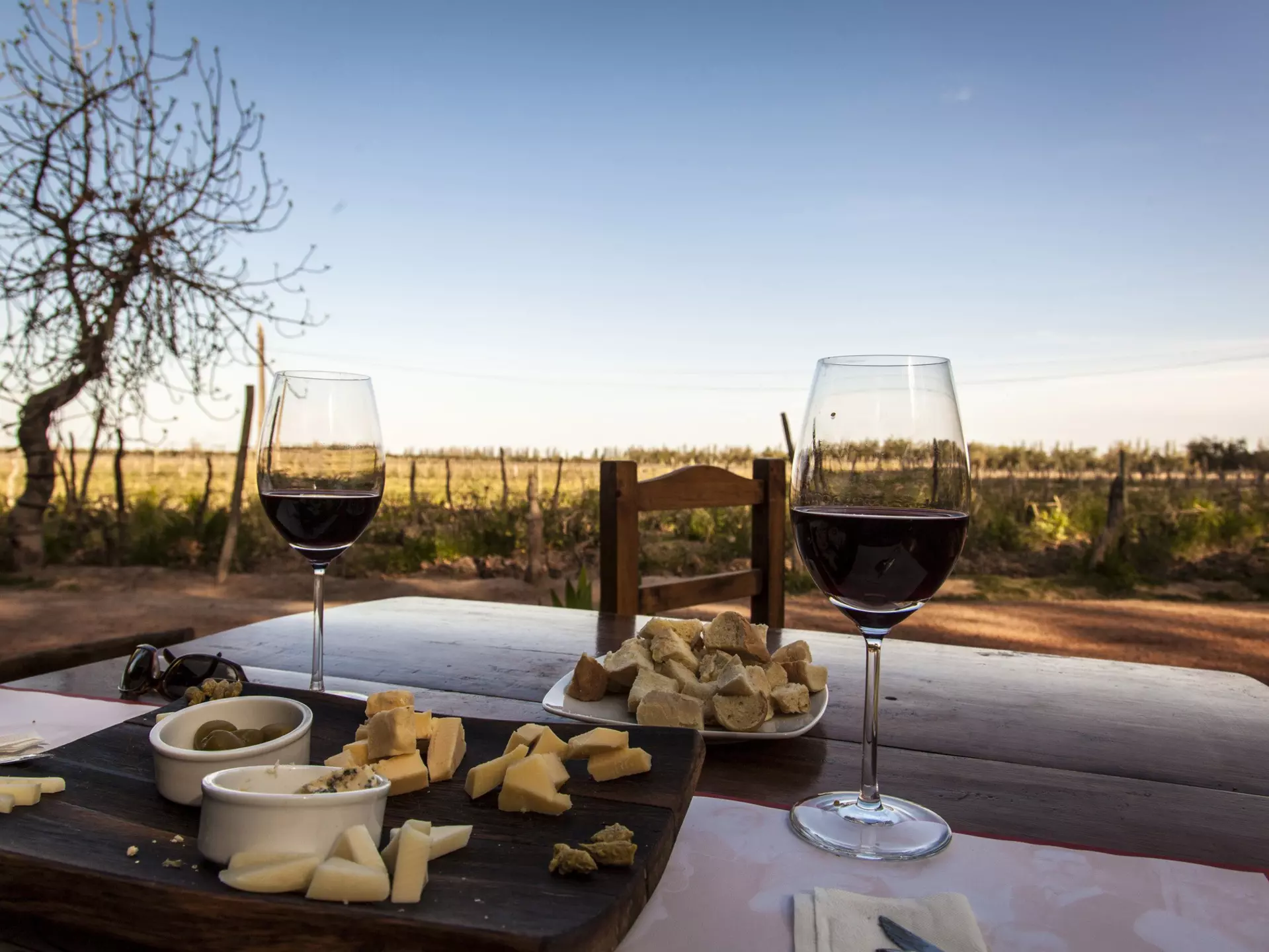 Wine-lovers can now enjoy a virtual wine-tasting experience in Argentina thanks to Amazon Platform © Lumi Images/Frank Sippach/Getty