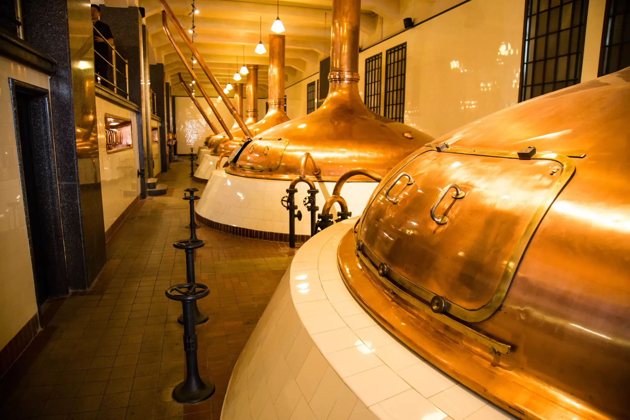 Large vats are lined up at a brewery in Czechia.
