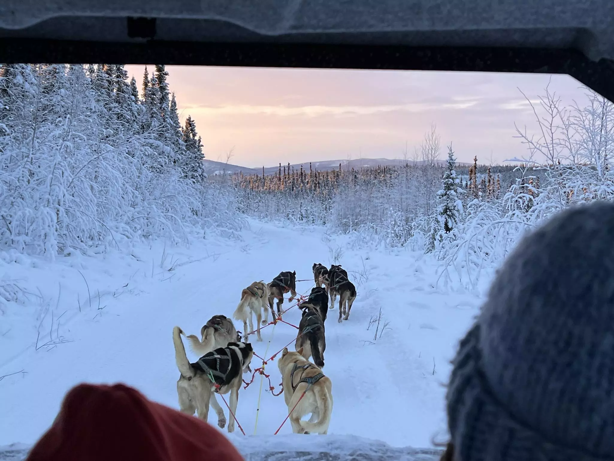 Dogs pull a sled through a snowy wilderness in Alaska, with the sun rising on the horizon.