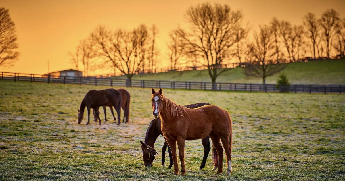9 fantastic things you can do only in Kentucky - Lonely Planet