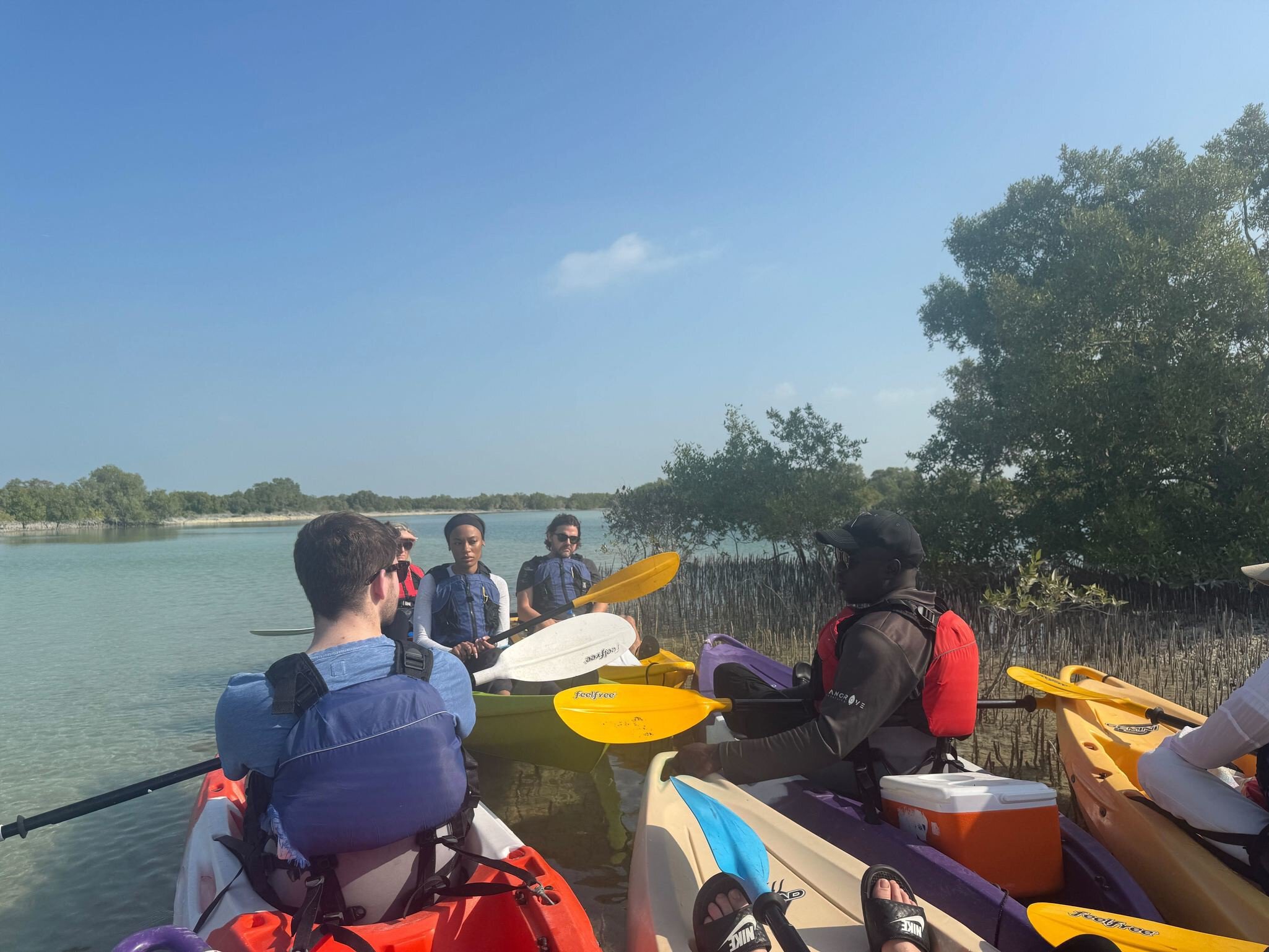 Kayaking at Jubail Mangrove Park, Abu Dhabi