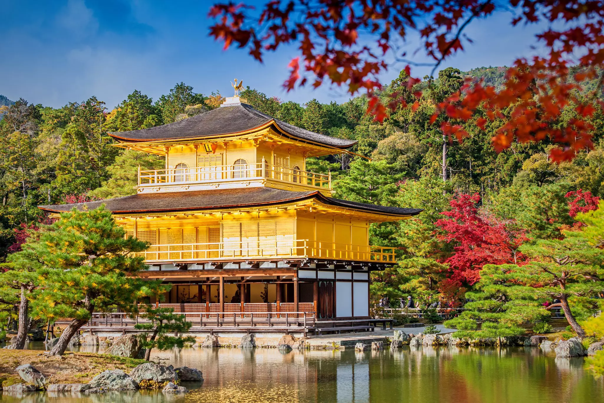 Golden Pavilion Kinkakuji Temple in Kyoto Japan