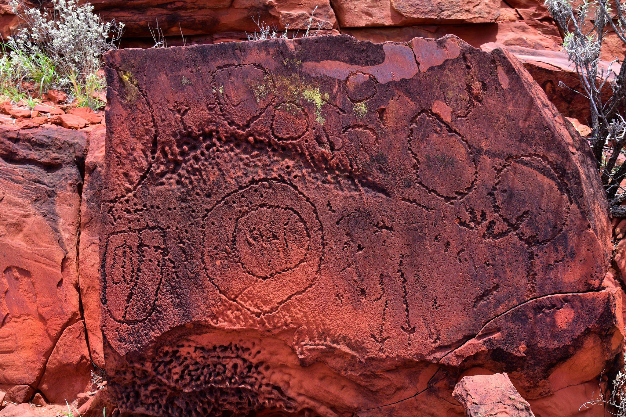 Rock carvings at the Ewaninga Conservation Reserve.