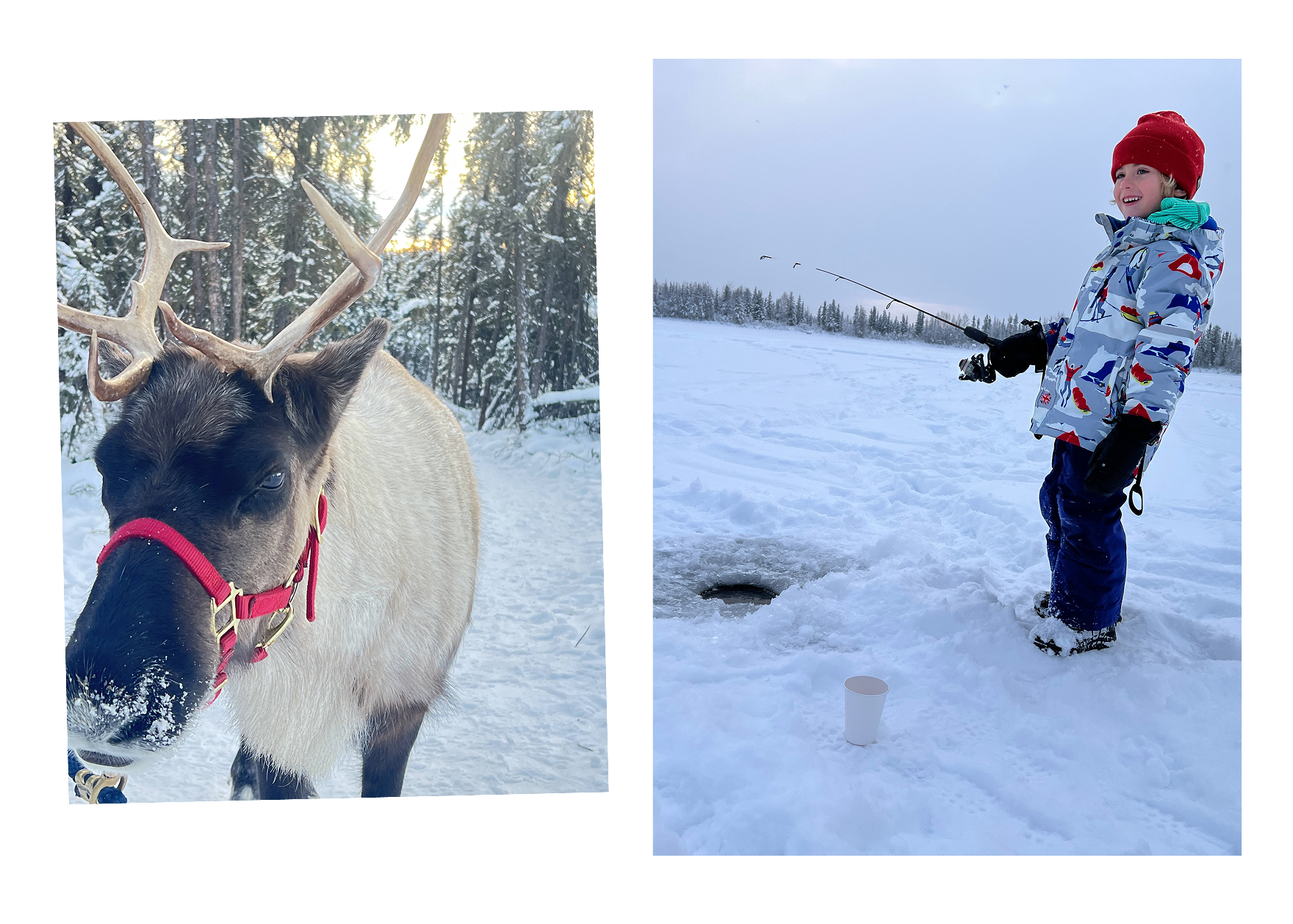 Left: Moose; Right: Ice fishing 
