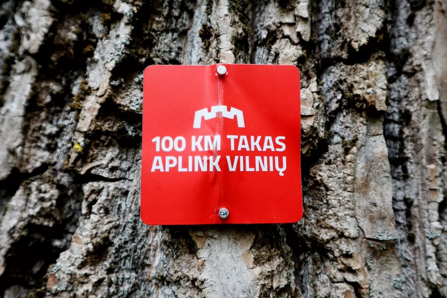 A red sign with white writing  reading “100km takas aplink Vilnių” marking the way around a hiking trail in Vilnius, Lithuania.