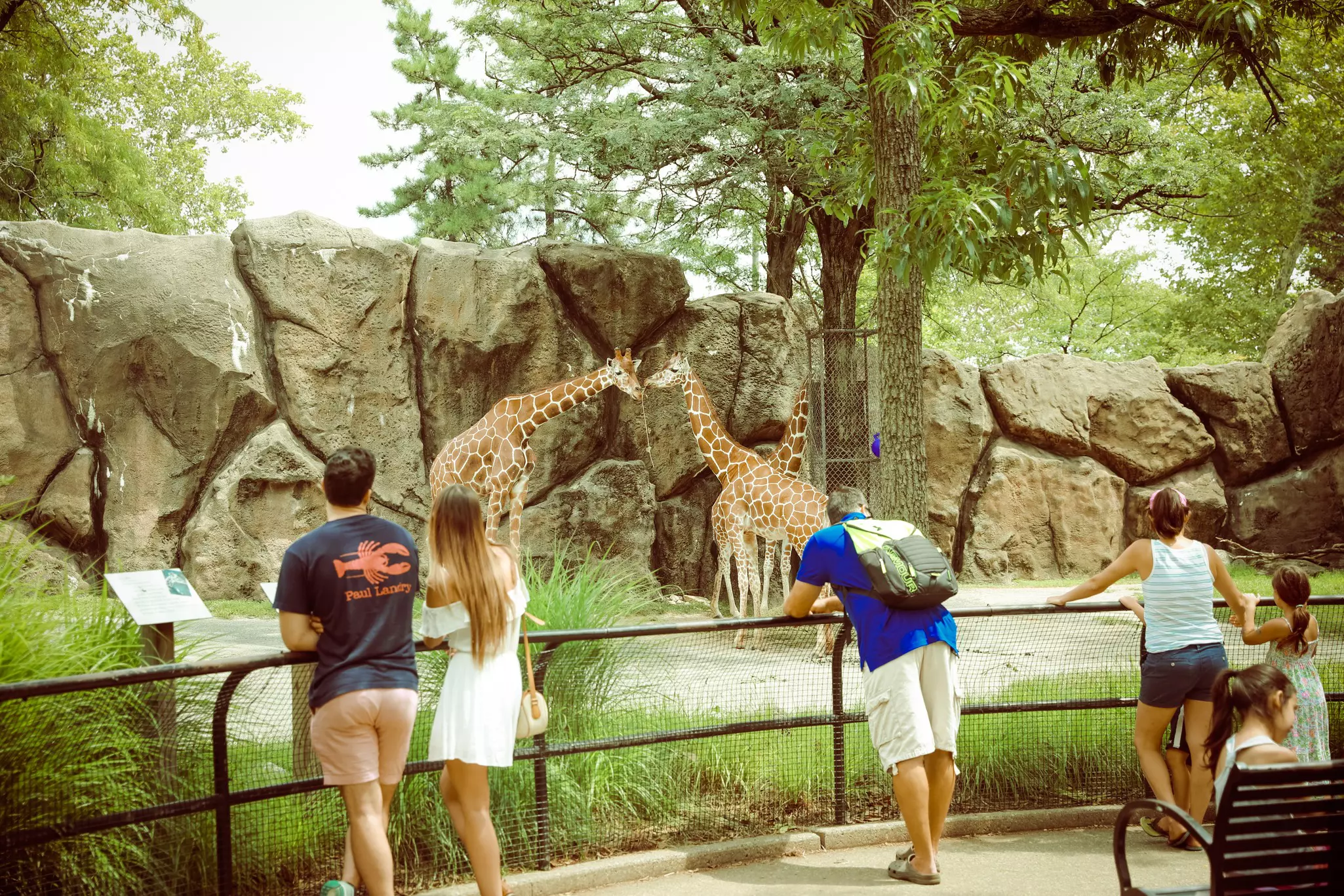 Seeing the animals at Philadelphia Zoo is sure to be a hit with the kids © Helen89 / Shutterstock