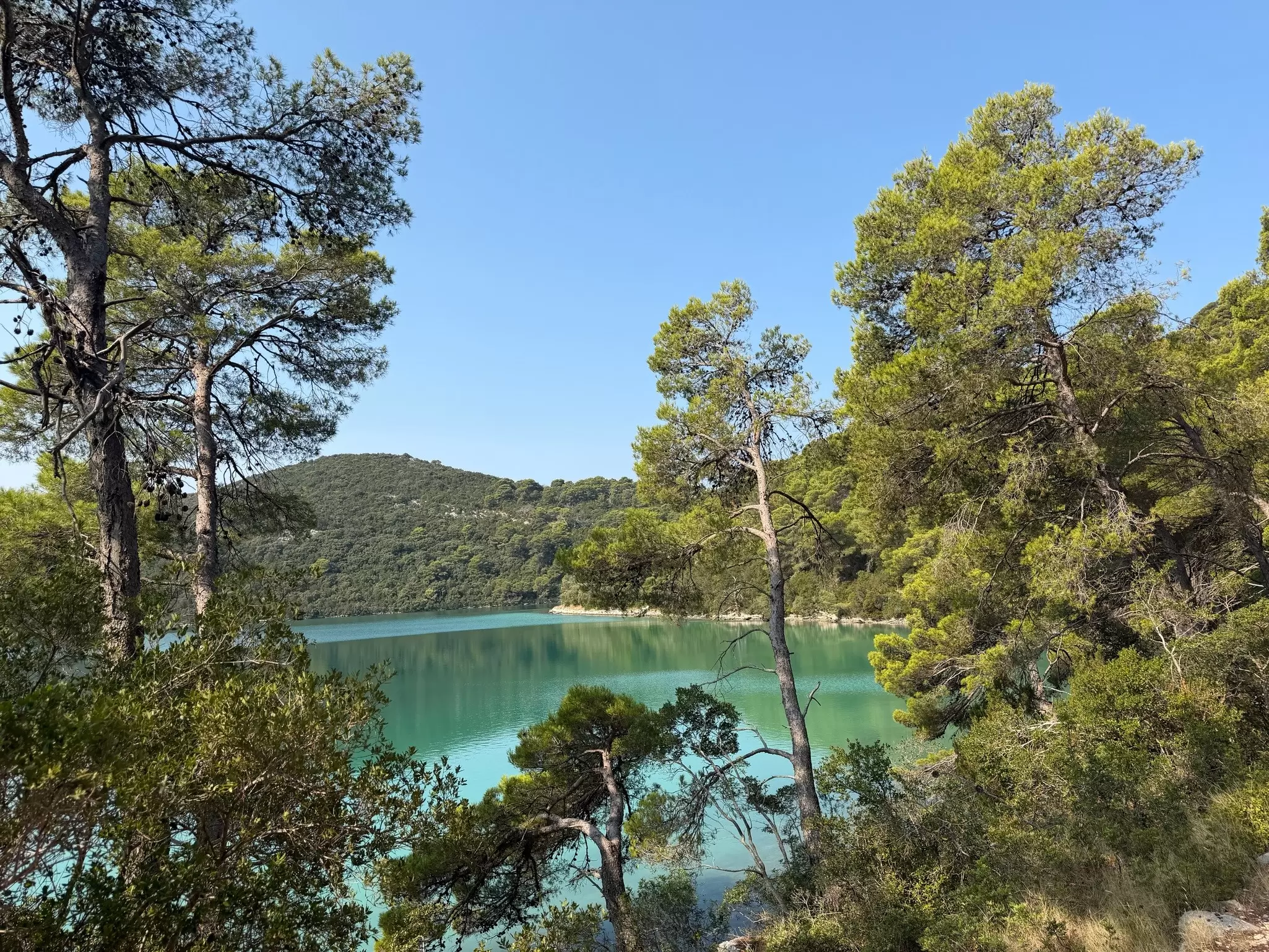 Shot of a large blue lake. Tree branches frame the image.