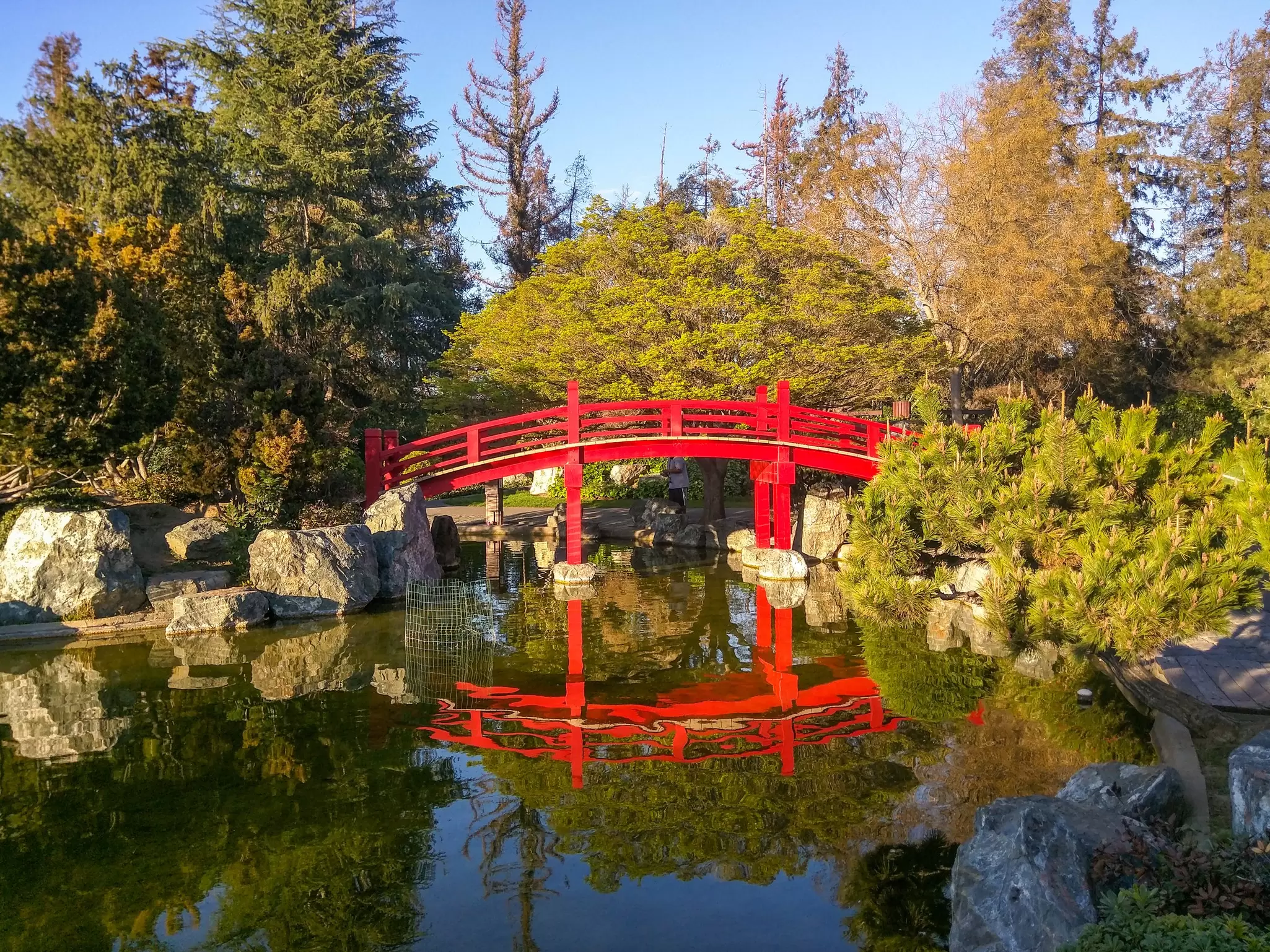 A green park in the San Jose area of California