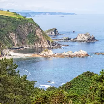 Green cliffs and pale rock islets around a small cove on a blue sea, with pine trees in the foreground, Asturias, Spain.