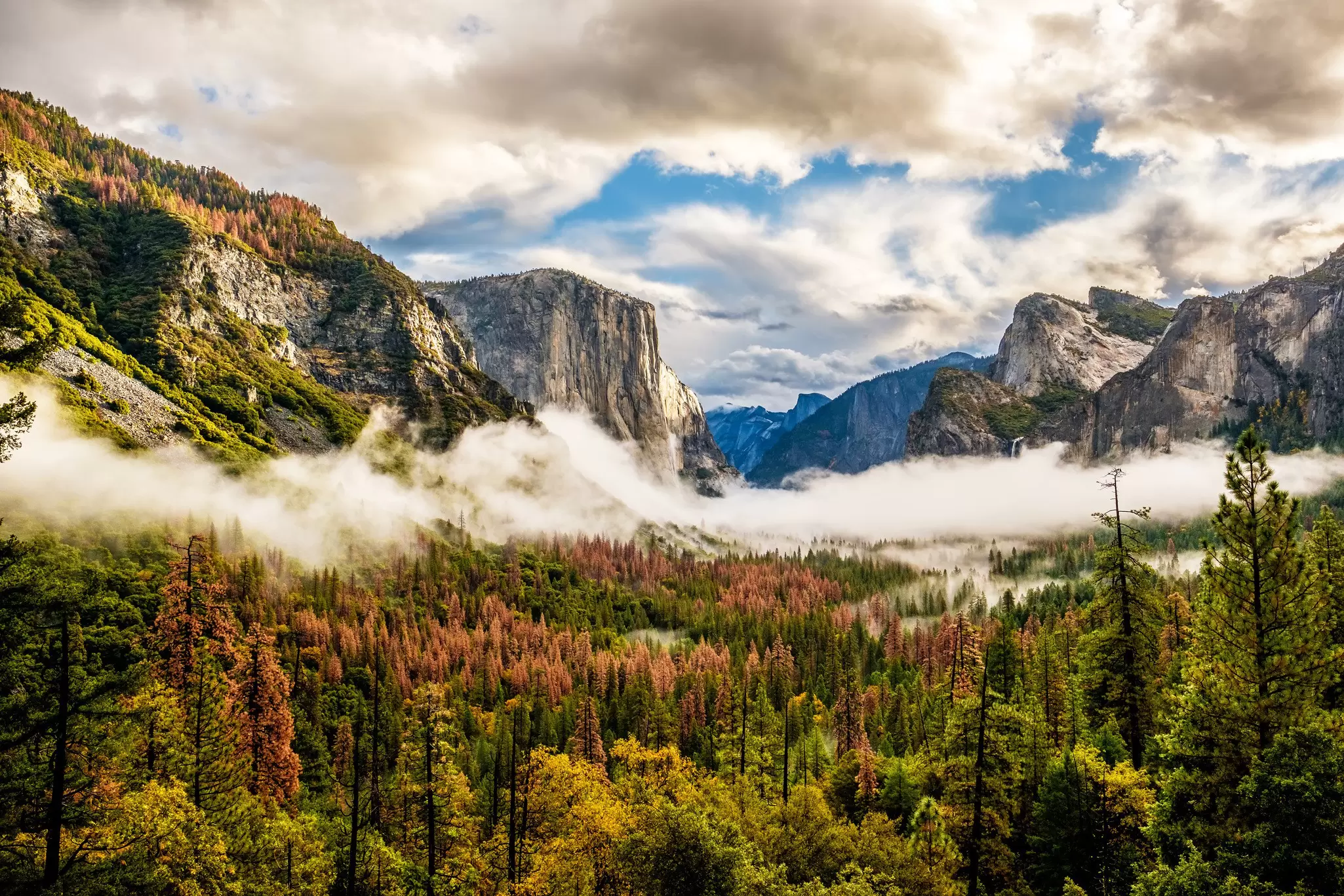 shutterstockRF_583257769.jpg