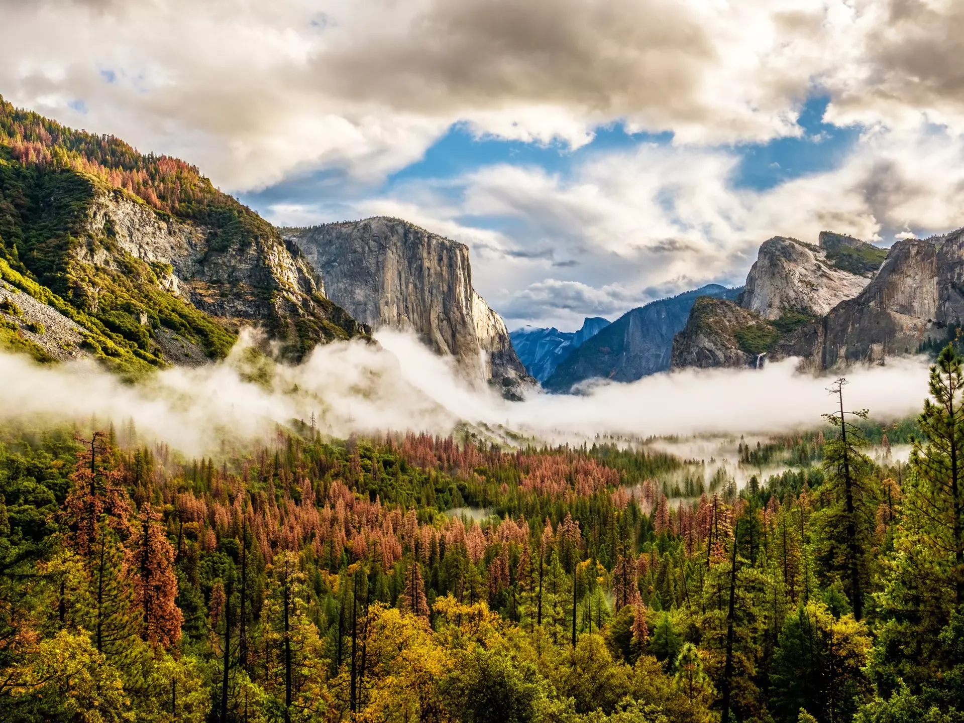 Yosemite National Park Valley on a cloudy autumn morning from Tunnel View.
583257769
beauty, california, cloud, cloudscape, el capitan, fog, forest, glacier, granite, landscape, low, mountain, national, nature, overlook, park, pine, rock, scenic, sierra nevada, sky, stone, sunlight, tourism, travel, tree, tunnel, usa, valley, view, yosemite, yosemite national park