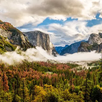 Yosemite National Park Valley on a cloudy autumn morning from Tunnel View.
583257769
beauty, california, cloud, cloudscape, el capitan, fog, forest, glacier, granite, landscape, low, mountain, national, nature, overlook, park, pine, rock, scenic, sierra nevada, sky, stone, sunlight, tourism, travel, tree, tunnel, usa, valley, view, yosemite, yosemite national park