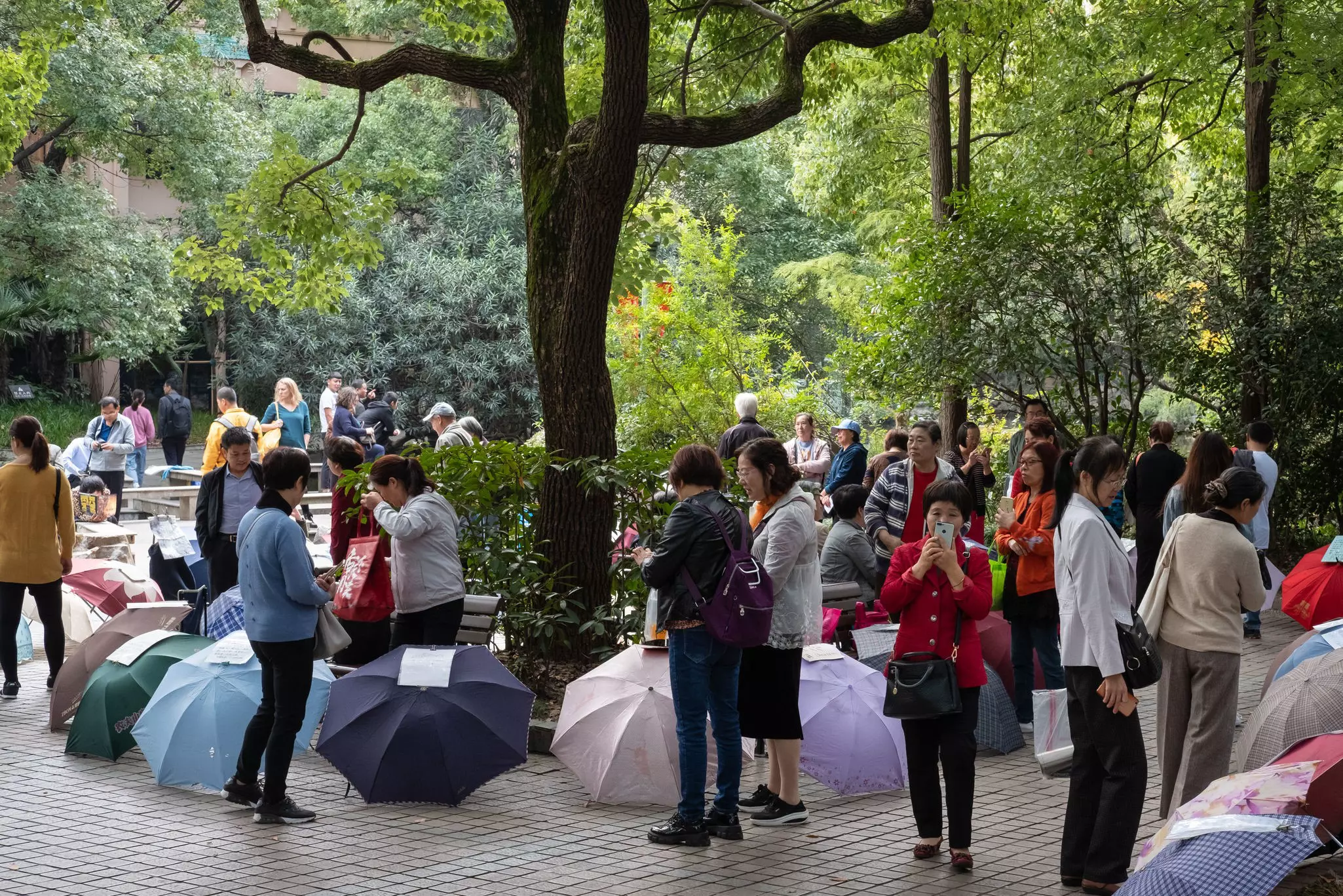 The marriage market in People's Park where parents try to find a partner for their unmarried son or daughter.