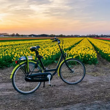 Holland’s ultra-flat terrain boasts tulips as far as the eye can see in April © Pakin Songmor / Getty Images