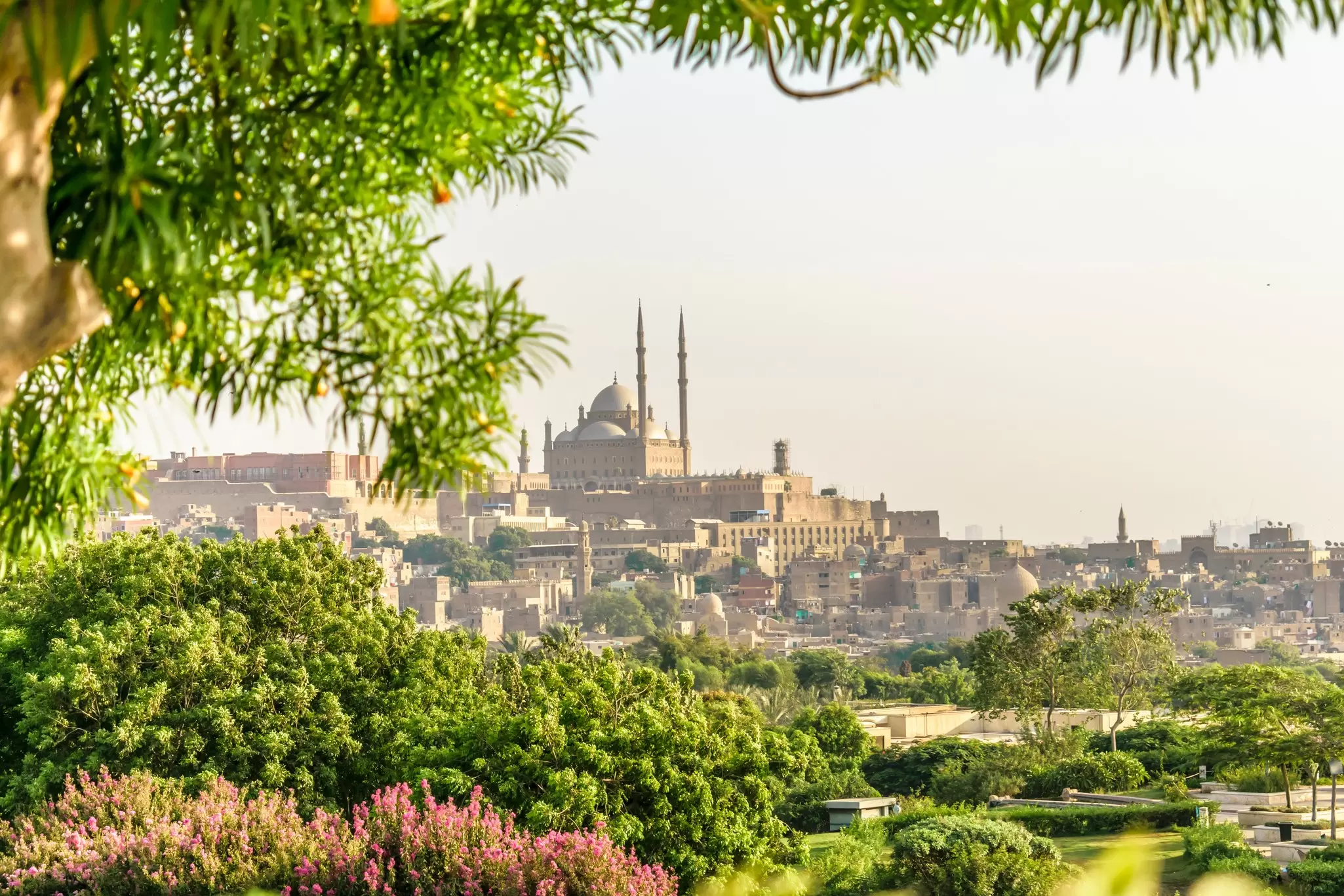 View of the Citadel from Al Azhar Park, Cairo. PiCPiCK/Shutterstock