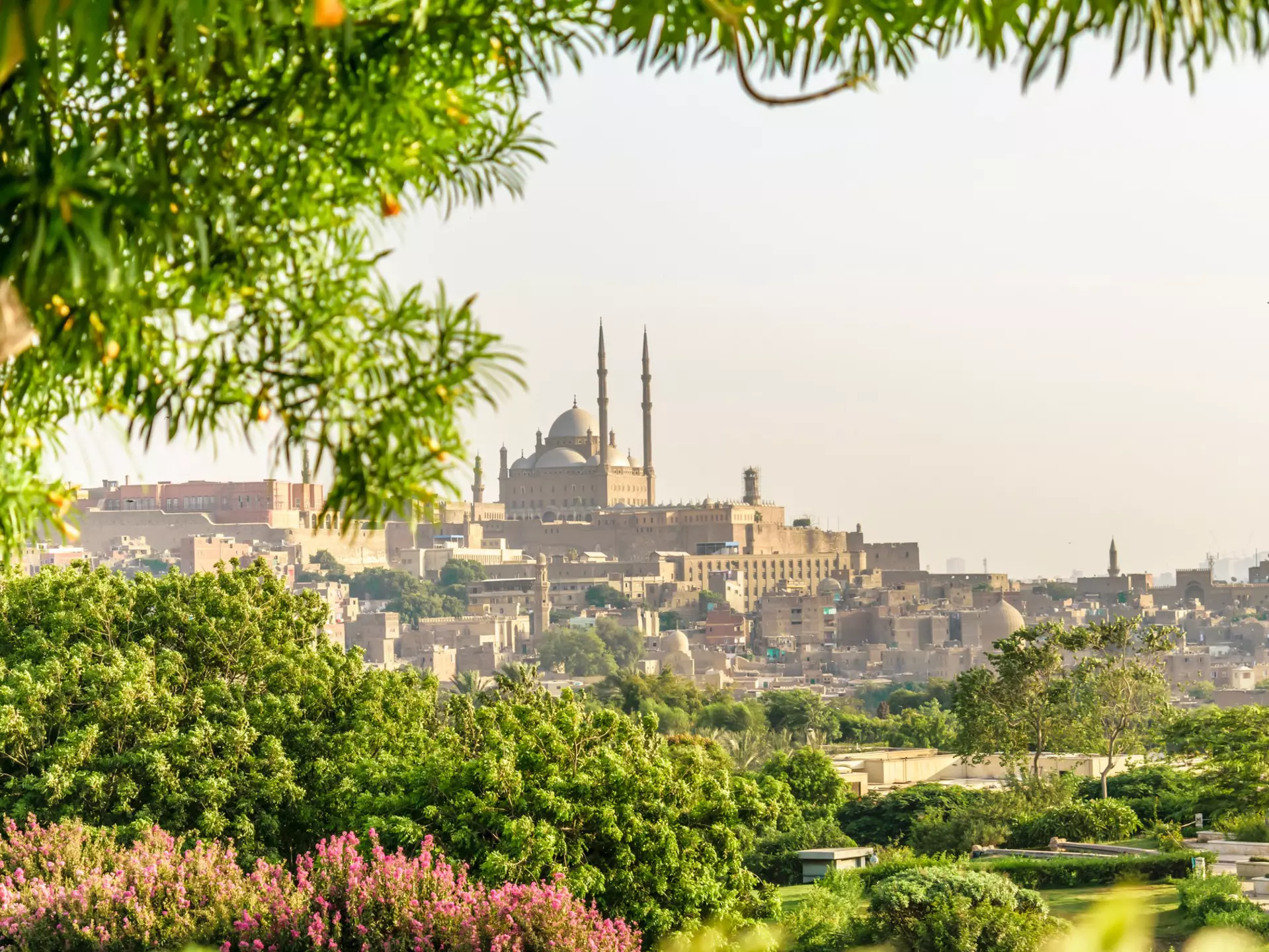 View of the Citadel from Al Azhar Park, Cairo. PiCPiCK/Shutterstock