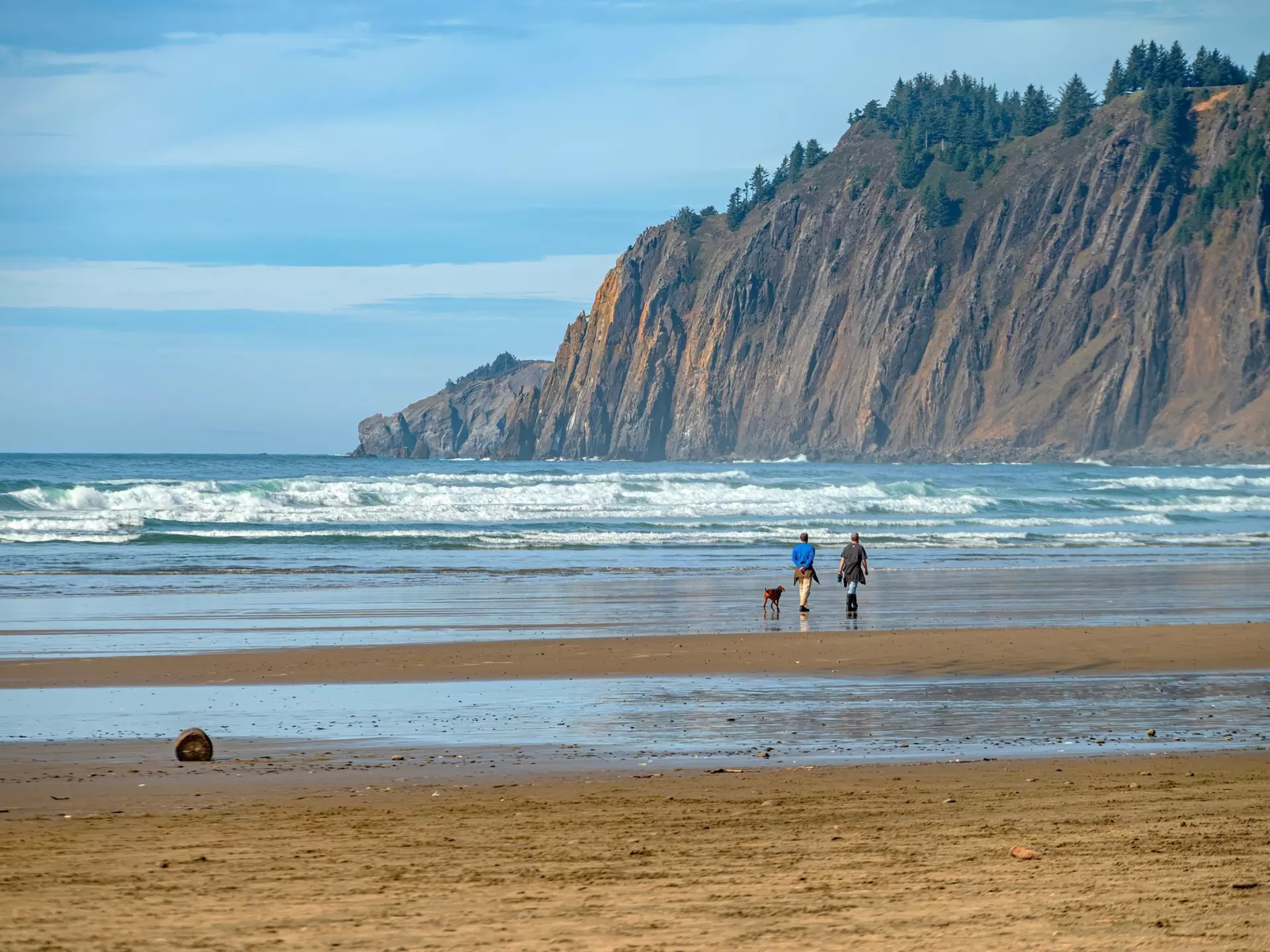 Dog walkers on Manzanita beach, Oregon. Rigucci/Shutterstock